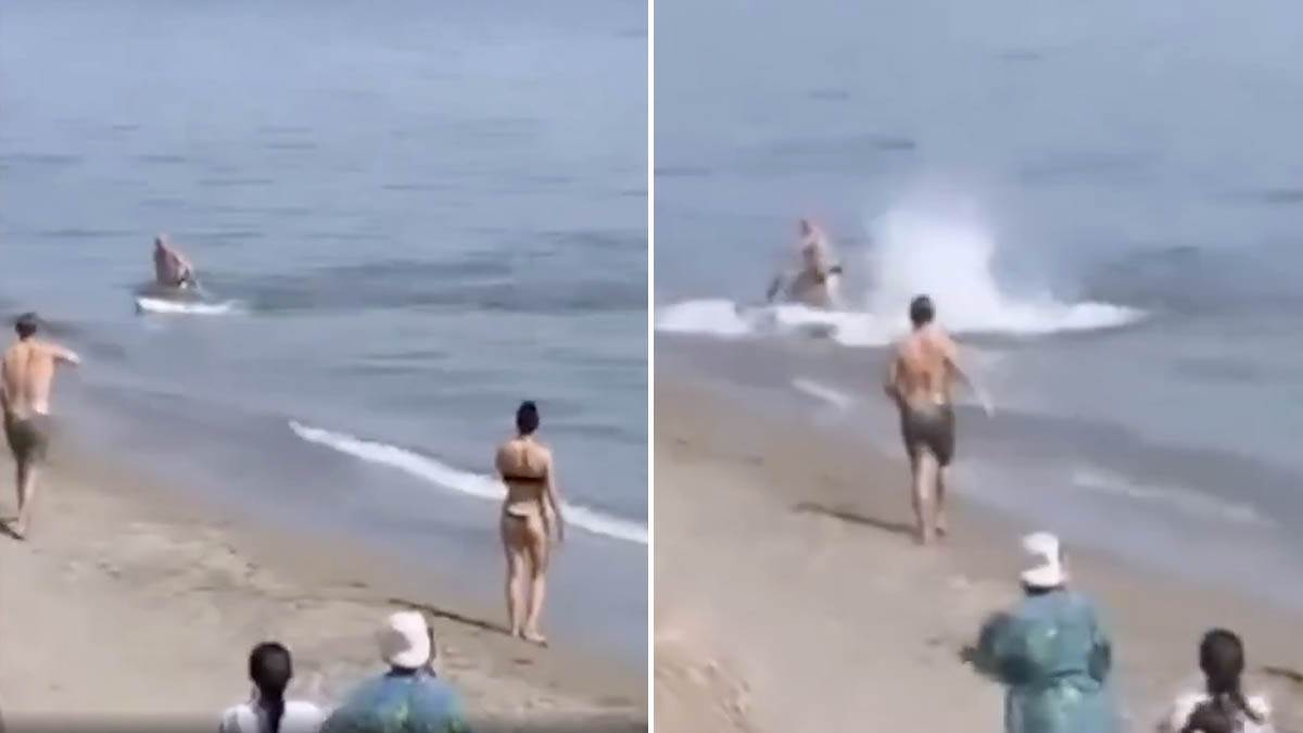  Turistu napala džinovska riba u plićaku 