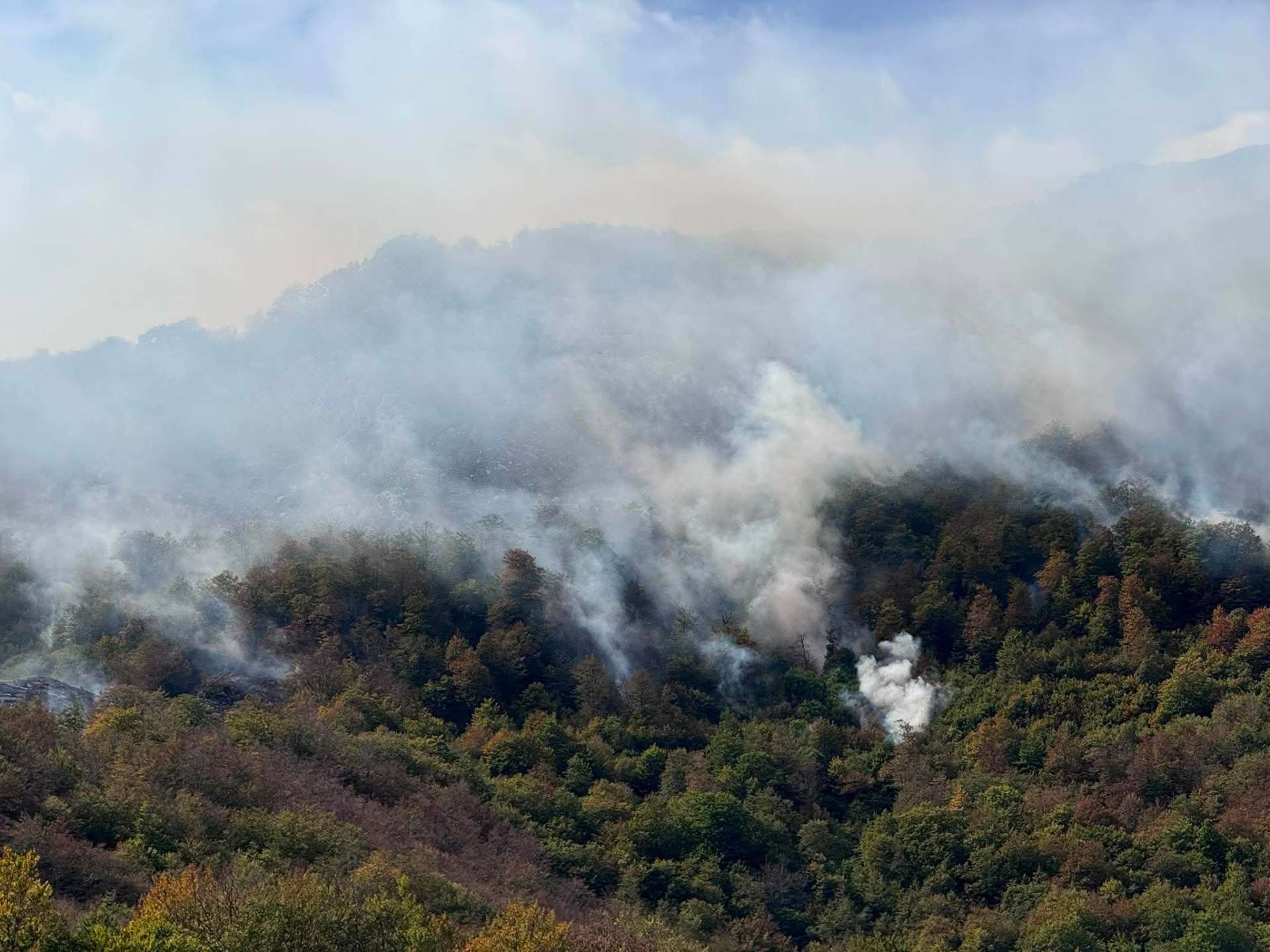  Ćećanović: Vatra prijeti kućama, situaciju dodatno otežava jak vjetar 