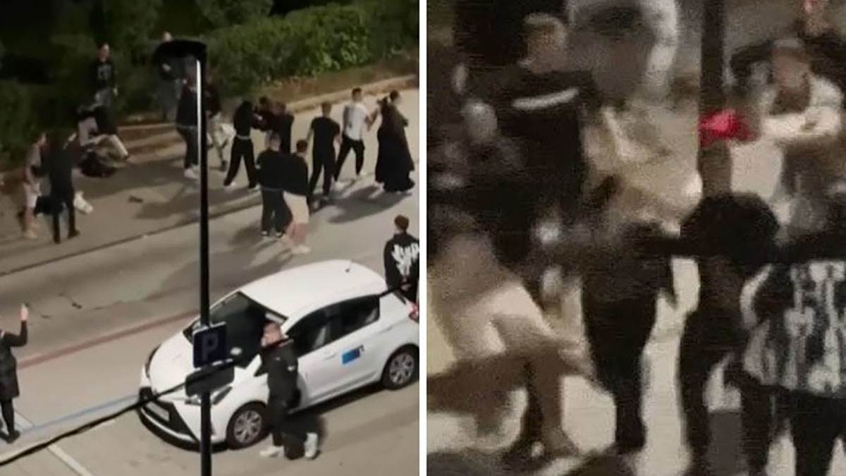  Masovna tuča u Sloveniji, mlatilo se dvadeset mladića i djevojaka: Lomili inventar i vozila 