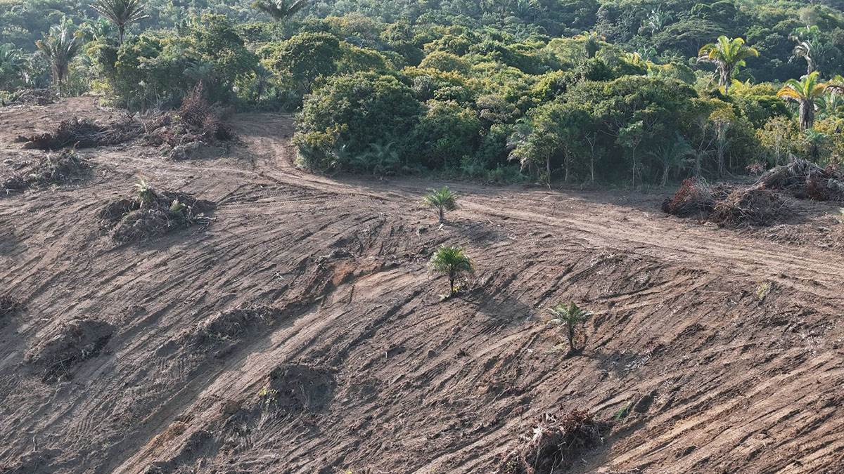  Najnoviji satelitski podaci otkrivaju istorijske promjene u brazilskoj Amazoniji 