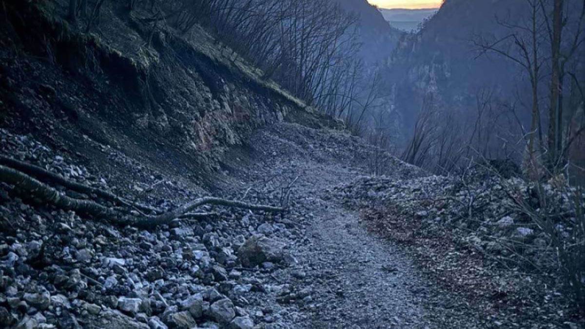  Djecu izgladnjivali do smrti, u šumi pronađeno 400 tijela 