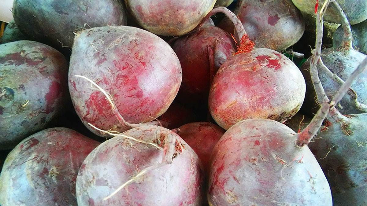  Jeo je 2,7 kg cvekle nedeljno: Pio i vodu od kuvanja, a njegov slučaj mogao bi da bude prvi zabiljež 