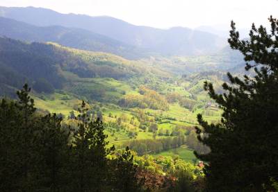  Gorska služba našla leš na Fruškoj gori 
