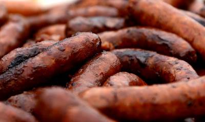  KOBAJAMA, MESOM i RIBOM po LGBT VEGANIMA 