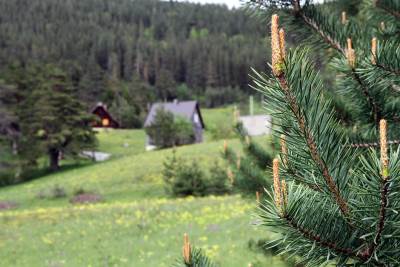  FOTO: Najljepše fotke Zelenog pojasa Crne Gore 