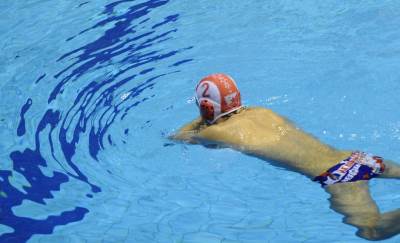  Zvezda dobila novog trenera 