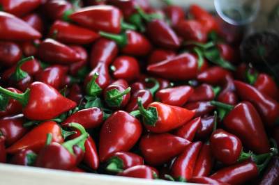  Popustila - Hrvatska SMANJILA takse! 