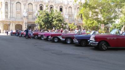  Kubanski studenti medicine u potrazi za mogućim slučajevima zaraze 