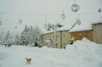  Cetinje bez vode 