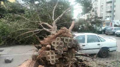  Nevrijeme u Crnoj Gori: Orkanska bura na primorju, snijeg ne staje na sjeveru 