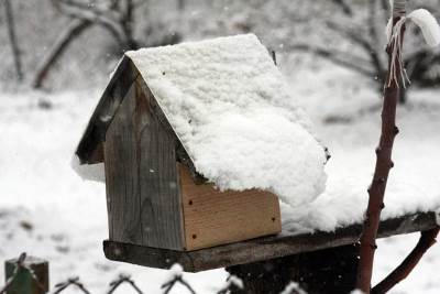  Blace - supružnici promrzli, satima ležali u snegu 