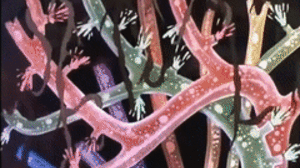  Bez ovog crtaća nema proljeća! (FOTO, VIDEO) 