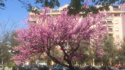  Danas sunčano, do 31 stepen 