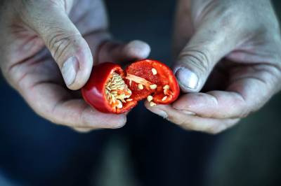  Da li je moguće: Ljuta paprika koja može da ubije? 