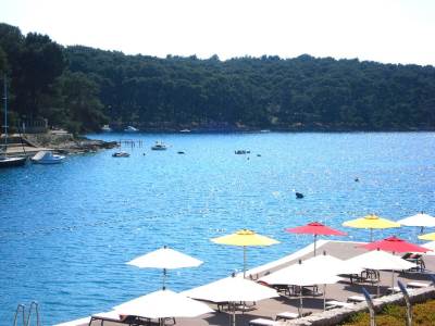  Hrvatska-veliki-pauk-na-plazi-kod-Trogira 