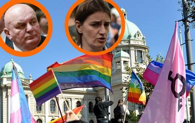  Ana Brnabić: Palma vređa sve! 