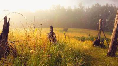  Sjutra veoma toplo, temperatura do 38 stepeni 