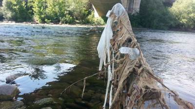  Počeli radovi na čišćenju dijela korita Ribnice 