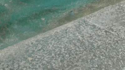  Pijavica u Hrvatskoj, grad u Republici Srpskoj 