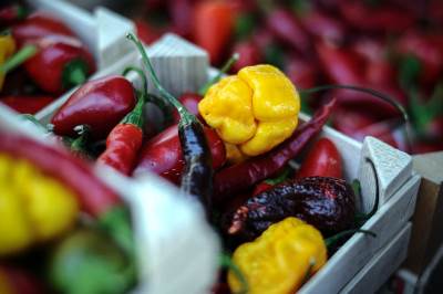  Plenković: Neće biti trgovinskog rata! 