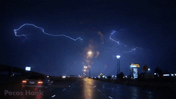  Pijavice u Hrvatskoj 