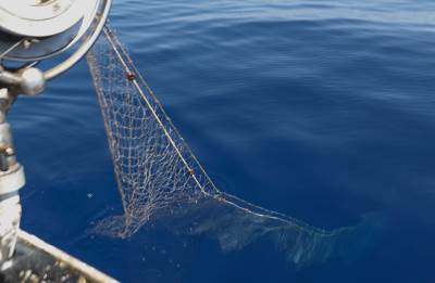  Zaplijenjeno 30 ribolovnih mreža na jezeru 