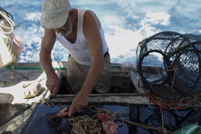  KAKAV CRNJAK: Riba ubila ribara 
