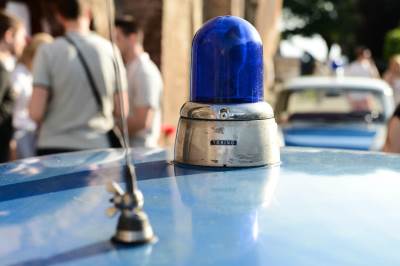  Pas ubio devetomjesečnu bebu 