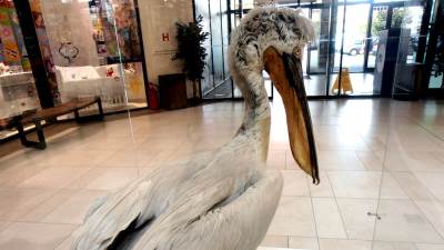  Pogledajte: Posebna je Crna Gora FOTO 