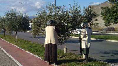  Nesvakidašnja scena na bulevaru u Podgorici (FOTO) 