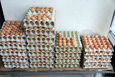  Kako da produžite rok jajima 