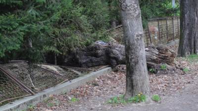  Velika šteta od nevremena u Banjaluci 