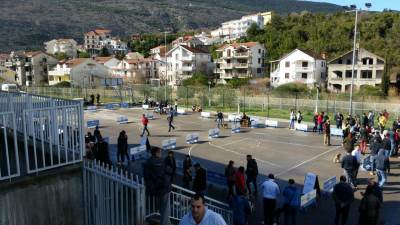  Nacionalna izložba pasa u Novom (FOTO, VIDEO) 