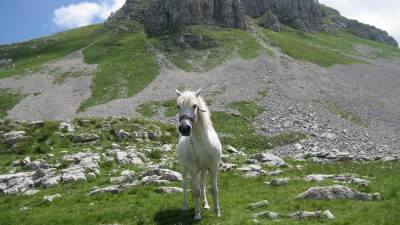  Lola - moračka ljepotica! (FOTO) 
