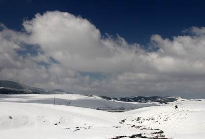  ZVIJER S ISTOKA: "Sibir" od Britanije do Balkana 