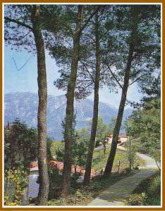  Tivćanka odvedena u karantin u Ulcinju 