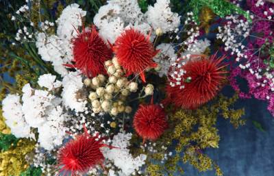  Crna Gora pripremila klopku za polen 