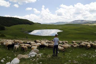  Miraš, dječak-pastir na čarobnom Žabljaku 