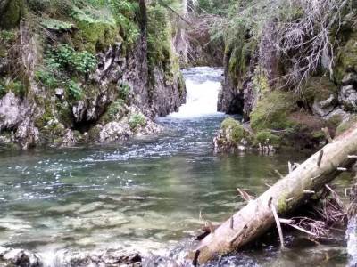  DPS Žabljak protiv gradnje na Crnom jezeru 