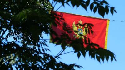  Albanci protiv izmjena zastave, ne smeta im Njegoš 