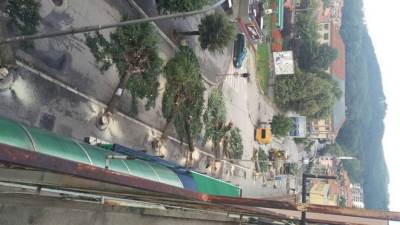  Nemilosrdno uklonjen drvored lipa u Pljevljima 