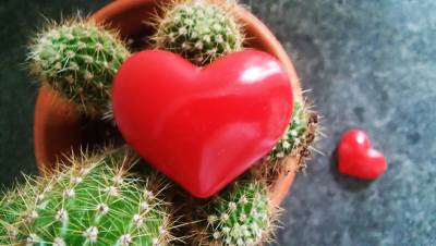  Šta znači "suviše si dobar za mene" 