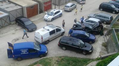  Zaplijenjena marihuana, uhapšena jedna osoba 