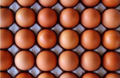  Kako se tetoviraju jaja 