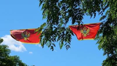  Crna Gora danas slavi Dan državnosti  