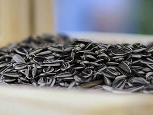 Top 7 sjemenki za vaše zdravlje   Top 7 sjemenki za vaše zdravlje