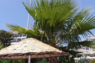   Britanka pretučena u Splitu 