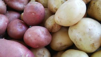  kako jesti krompir a da ne goji 
