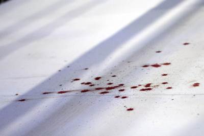  Crnogorski kik bokser Janko Kuzman pobijedio Aleksandra Aleksića iz Srbije 