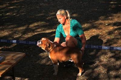  Međunarodna izložba pasa u Nikšiću 